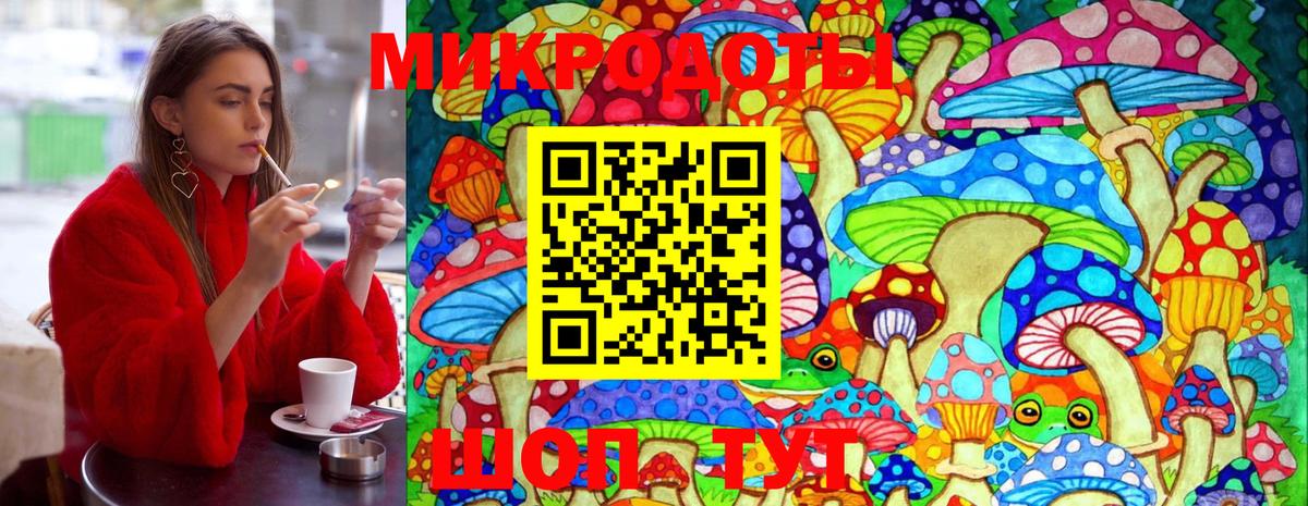 Мытищи  как найти наркотики  Вход с VPN  Псилоцибиновые грибы мицелий 